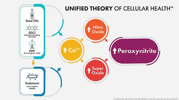4.3UnifiedTheoryofCellularHealth.jpg
