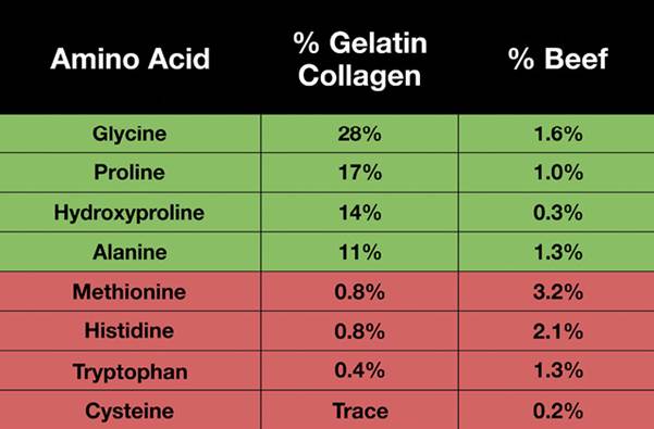 9.1_Gelatin_Collagen_and_Beef_Percentage_in_Amino_Acids.jpg