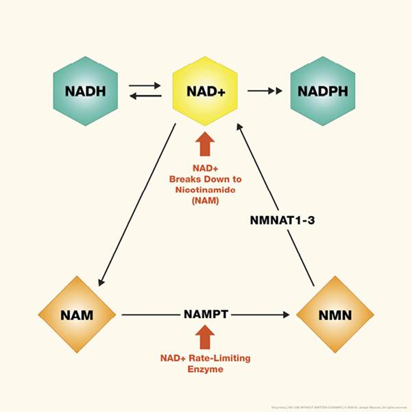 11.2_NAD_Graphic.jpg